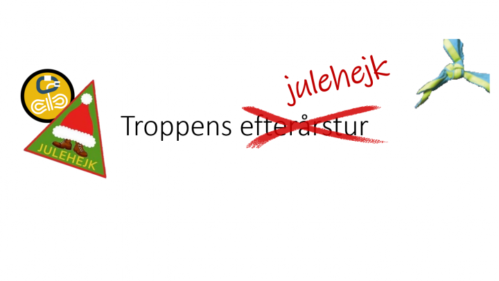 Julehejk