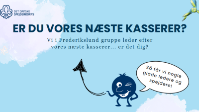 Næste kasserer